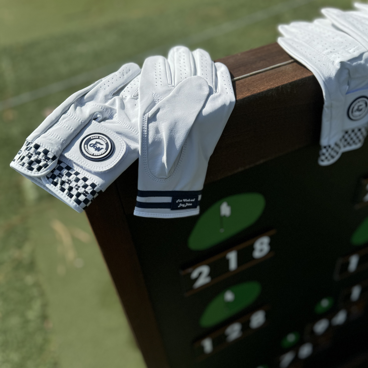 Leather Golf Gloves